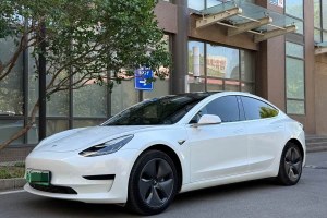 Model 3 特斯拉 改款 標(biāo)準(zhǔn)續(xù)航后驅(qū)升級(jí)版