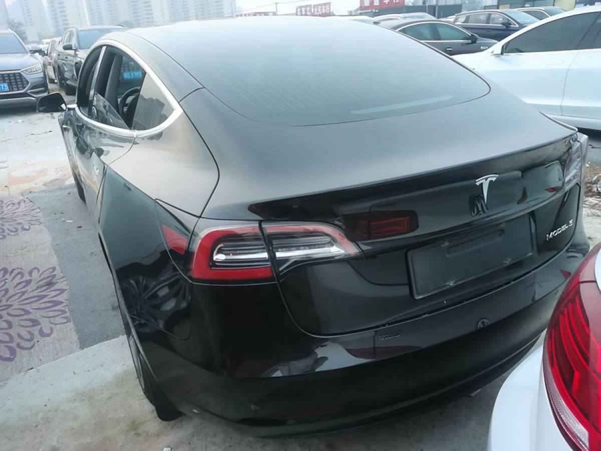 特斯拉 Model Y  2020款 改款 標準續(xù)航后驅(qū)升級版圖片