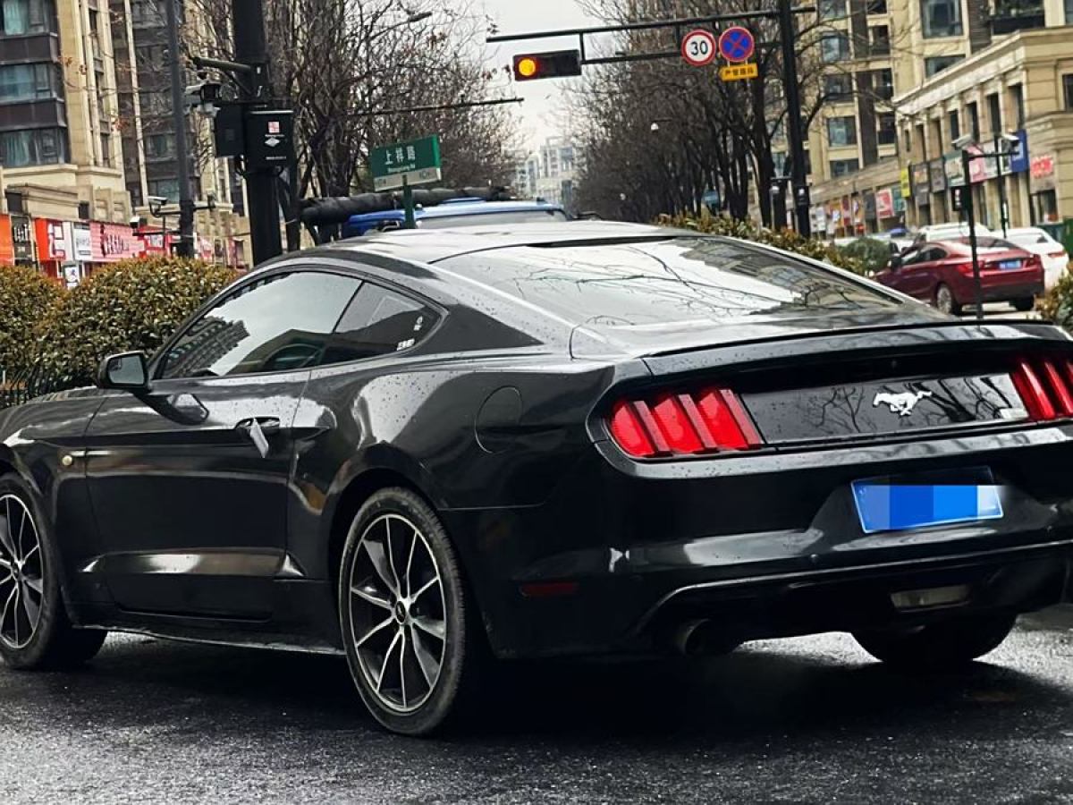 福特 Mustang  2015款 2.3T 50周年紀(jì)念版圖片