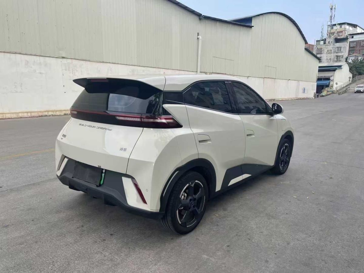 比亞迪 宋L DM-i  2024款 112km 超越型圖片