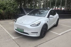 Model Y 特斯拉 改款 長續(xù)航全輪驅(qū)動版