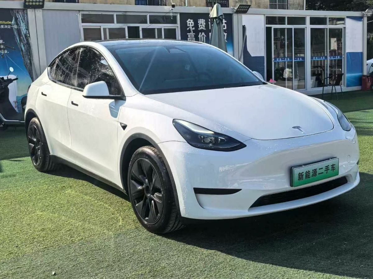 特斯拉 Model Y  2024款 Performance高性能版圖片