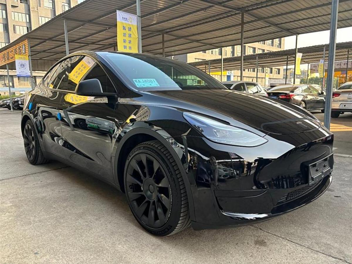 特斯拉 Model Y  2020款 改款 長(zhǎng)續(xù)航后輪驅(qū)動(dòng)版圖片