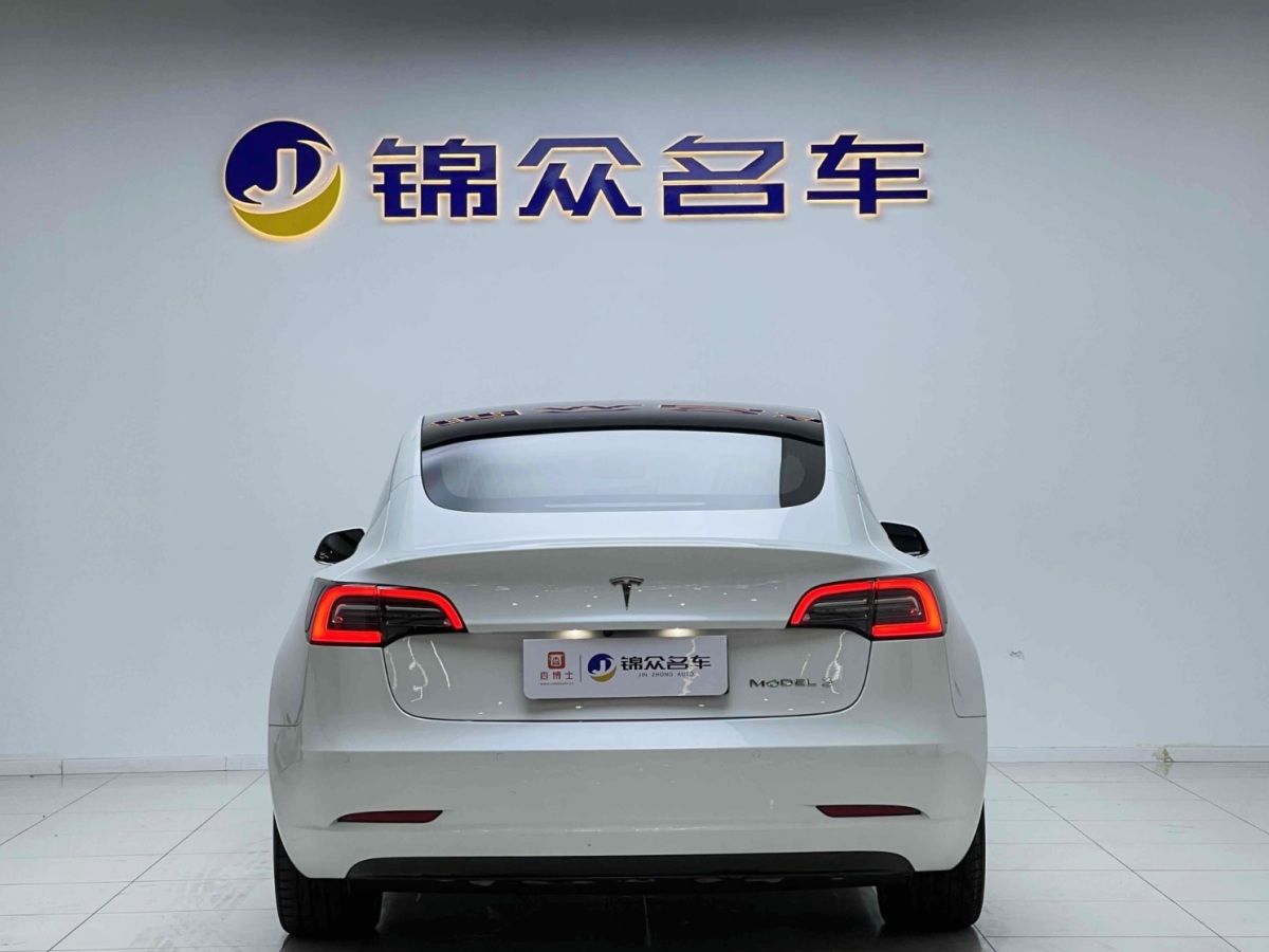 特斯拉 Model 3  2019款 標(biāo)準(zhǔn)續(xù)航后驅(qū)升級(jí)版圖片