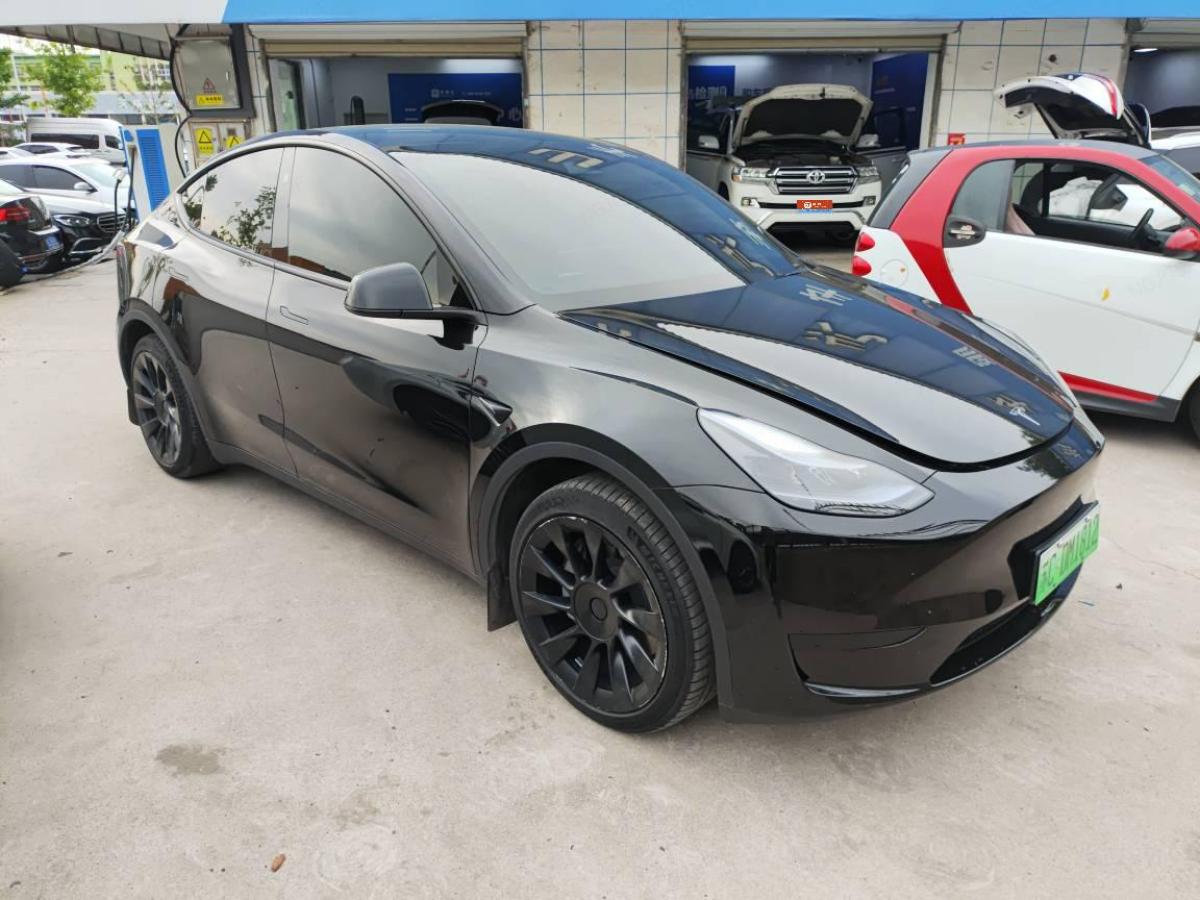 特斯拉 Model Y  2024款 后輪驅(qū)動版圖片