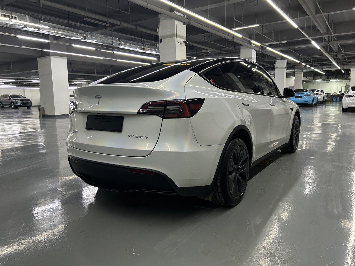 2024年1月特斯拉 Model Y  2023款 長續(xù)航煥新版 雙電機(jī)全輪驅(qū)動(dòng)