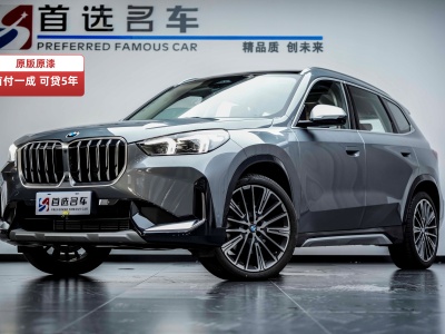 2023年6月 寶馬 寶馬X1 xDrive25Li X設(shè)計套裝圖片