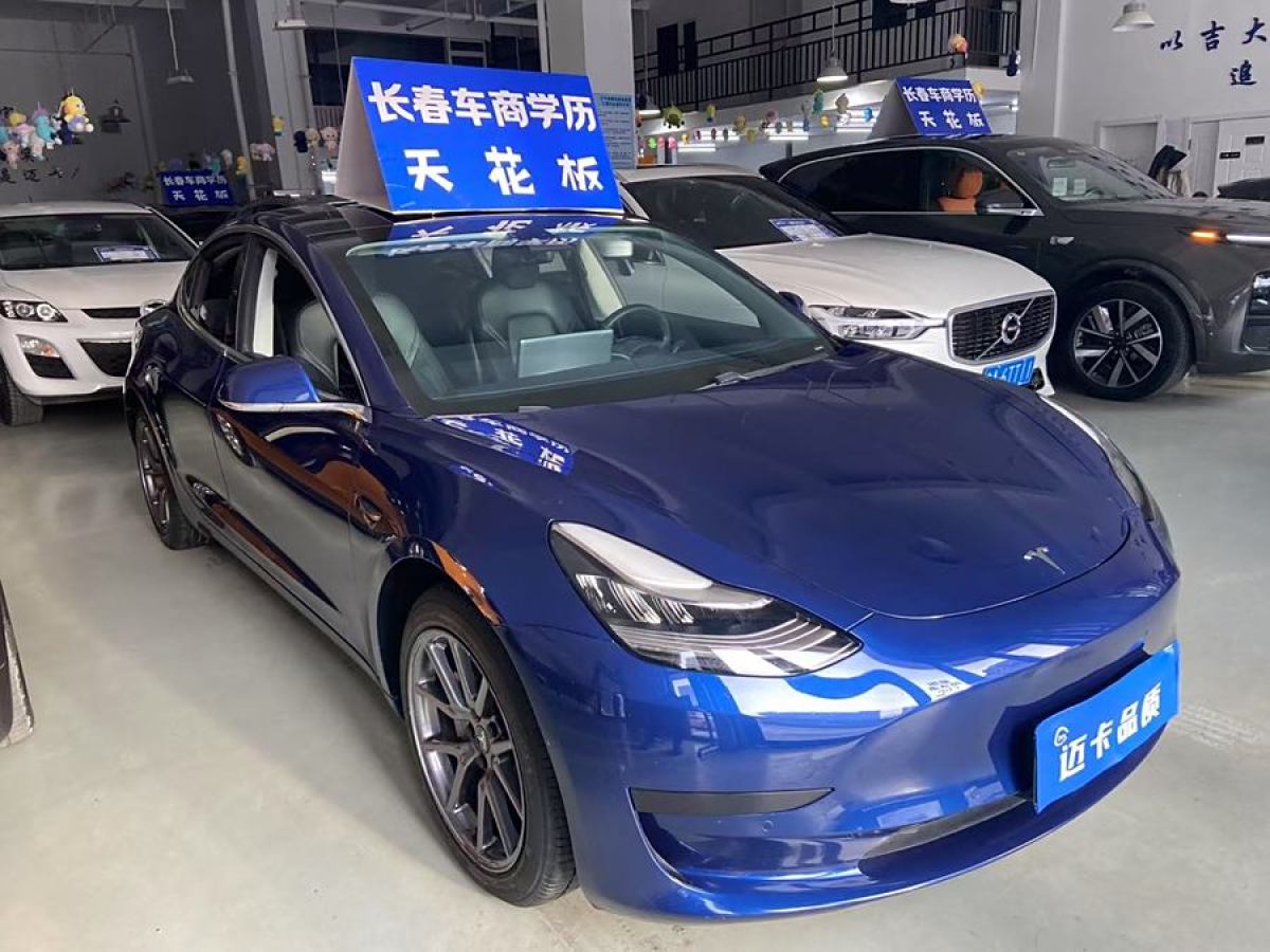 特斯拉 Model 3  2019款 標(biāo)準(zhǔn)續(xù)航后驅(qū)升級(jí)版圖片