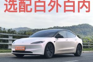 Model Y 特斯拉 长续航全轮驱动版