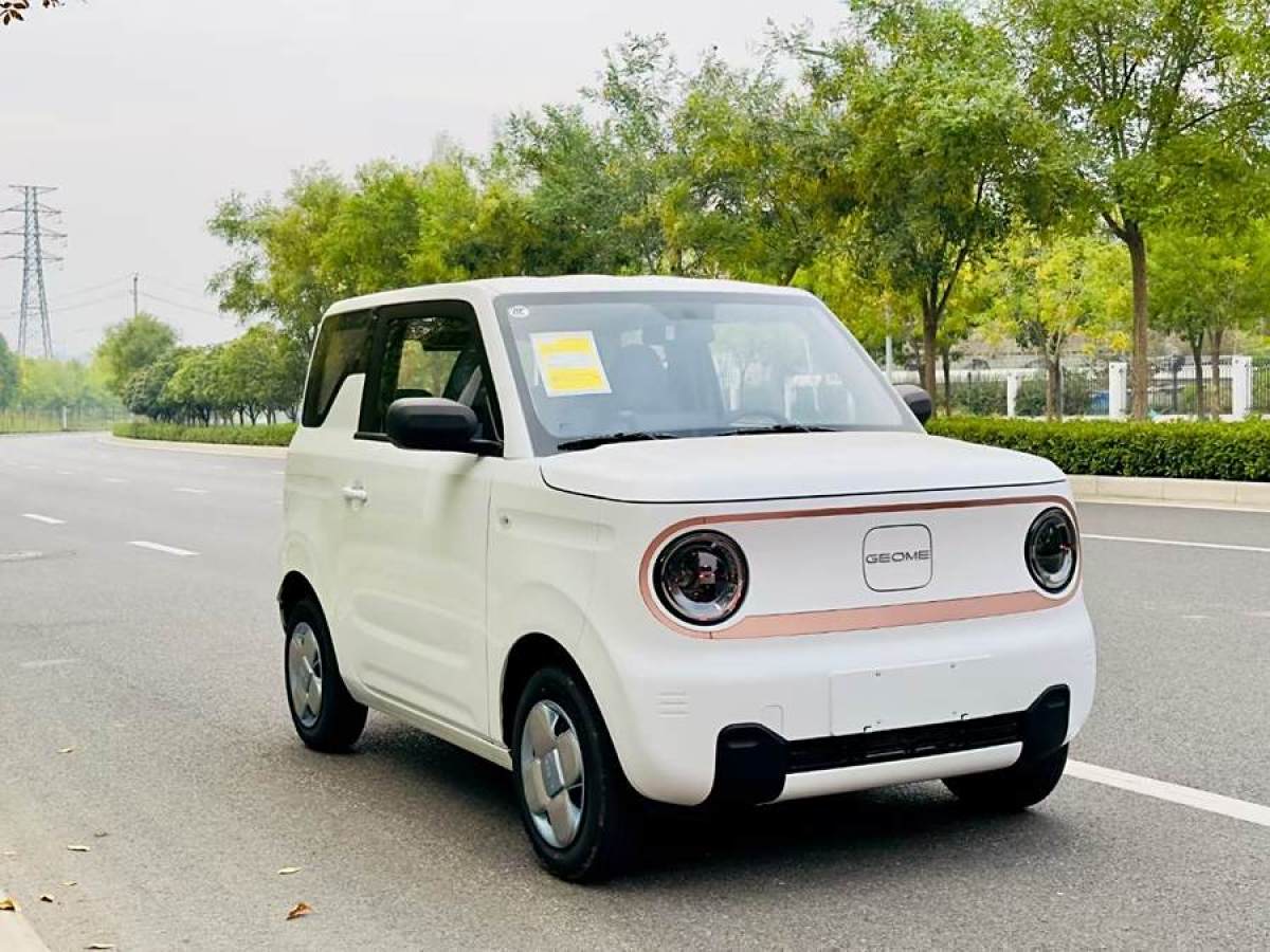 吉利 熊貓mini  2023款 200km 耐力熊圖片