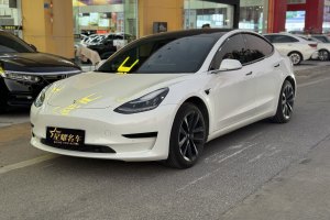 Model 3 特斯拉 标准续航后驱升级版