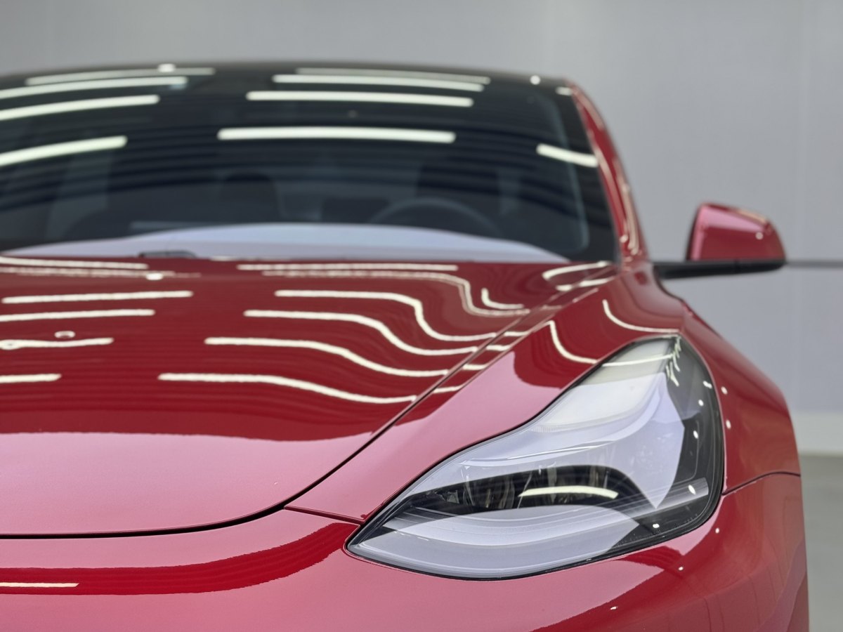 特斯拉 Model 3  2019款 標(biāo)準(zhǔn)續(xù)航后驅(qū)升級版圖片