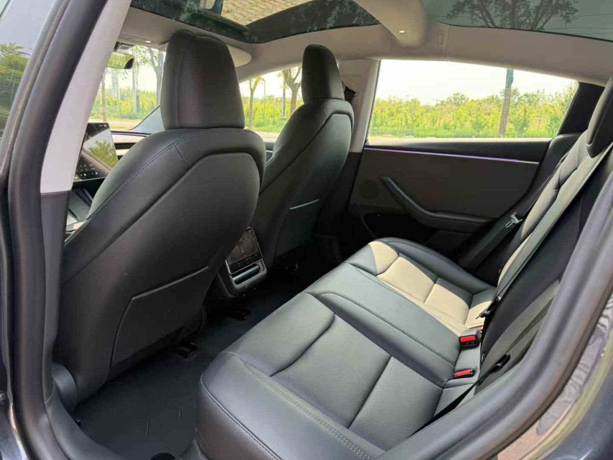 特斯拉 Model Y  2024款 Performance高性能版圖片