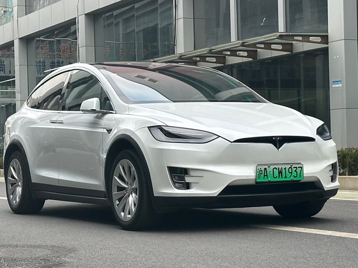 特斯拉 Model X  2020款 長續(xù)航升級版圖片