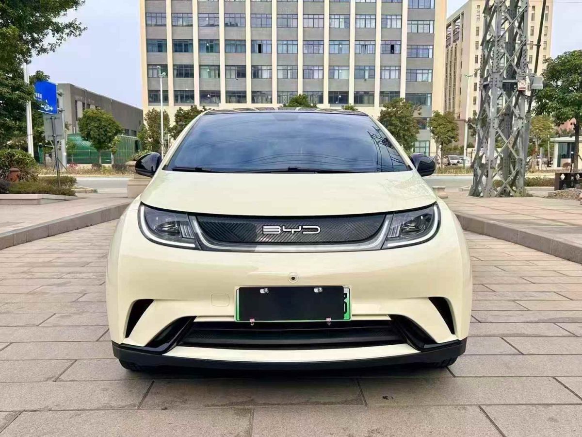 比亞迪 海豚 圖片