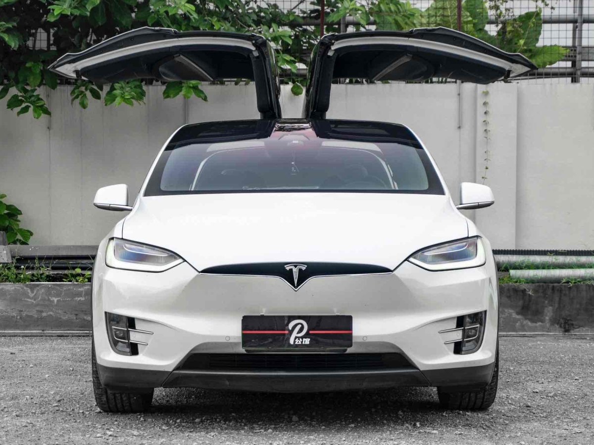 特斯拉 Model X  2019款 長續(xù)航版圖片