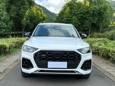 2022年4月 奥迪 奥迪Q5 e-tron 40 e-tron 星耀型 机甲套装图片