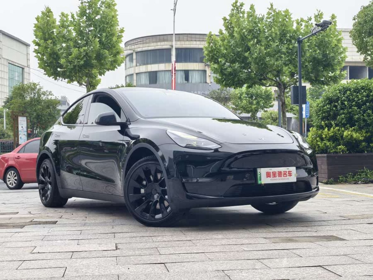 特斯拉 Model Y  2021款 標準續(xù)航后驅(qū)版圖片