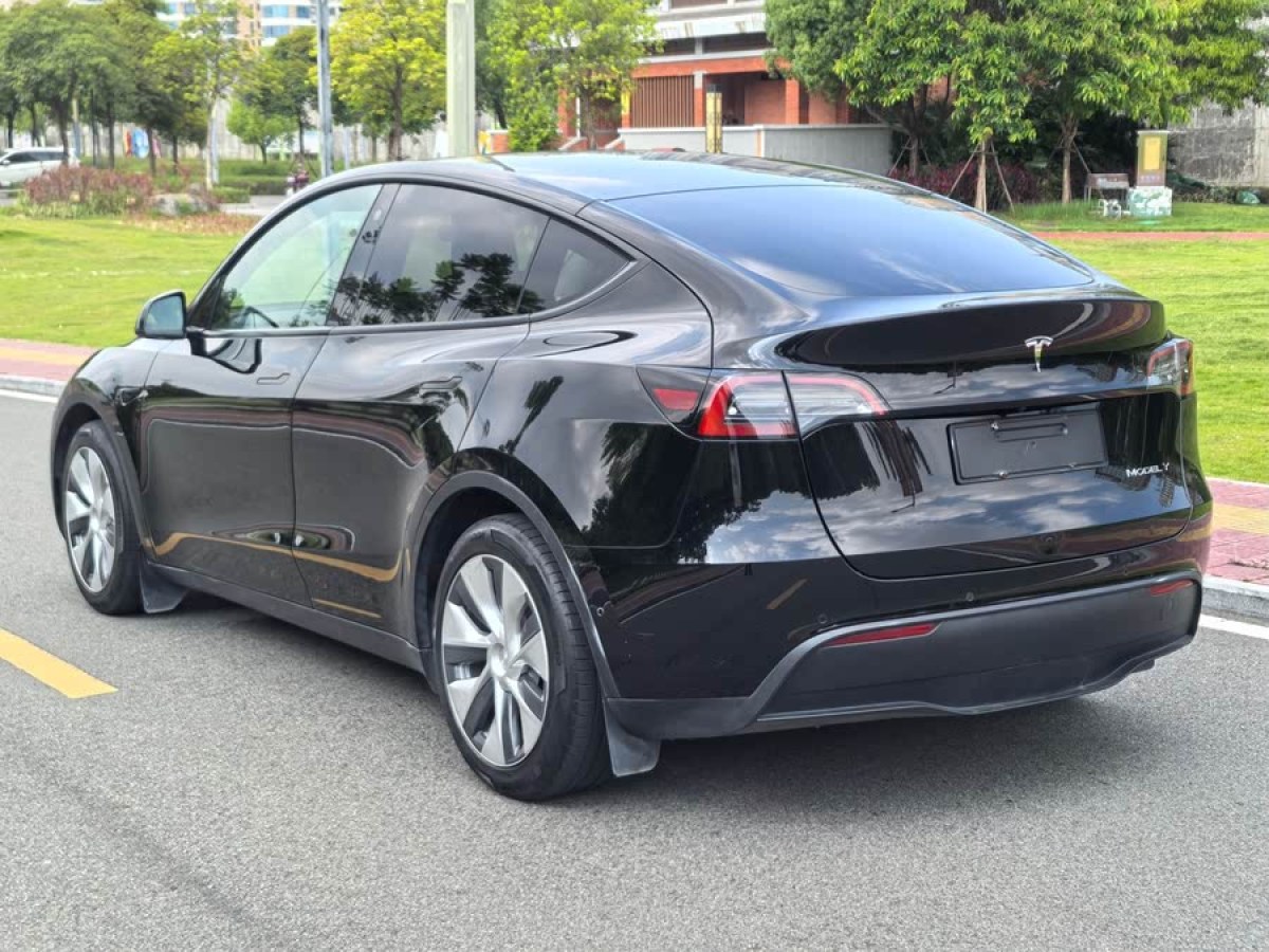 特斯拉 Model Y  2021款 標(biāo)準(zhǔn)續(xù)航后驅(qū)版圖片