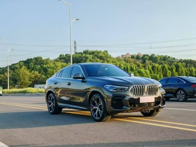 2022年1月 宝马 宝马X6(进口) xDrive40i M运动套装图片