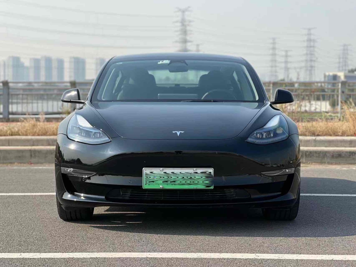 特斯拉 Model 3  2019款 Performance高性能全輪驅(qū)動版圖片