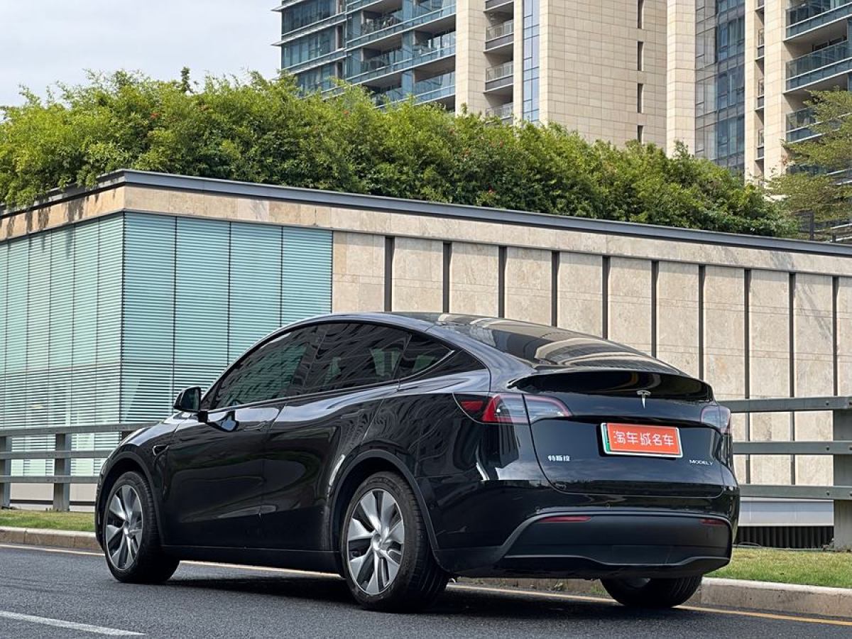 特斯拉 Model Y  2020款 改款 長續(xù)航后輪驅動版圖片