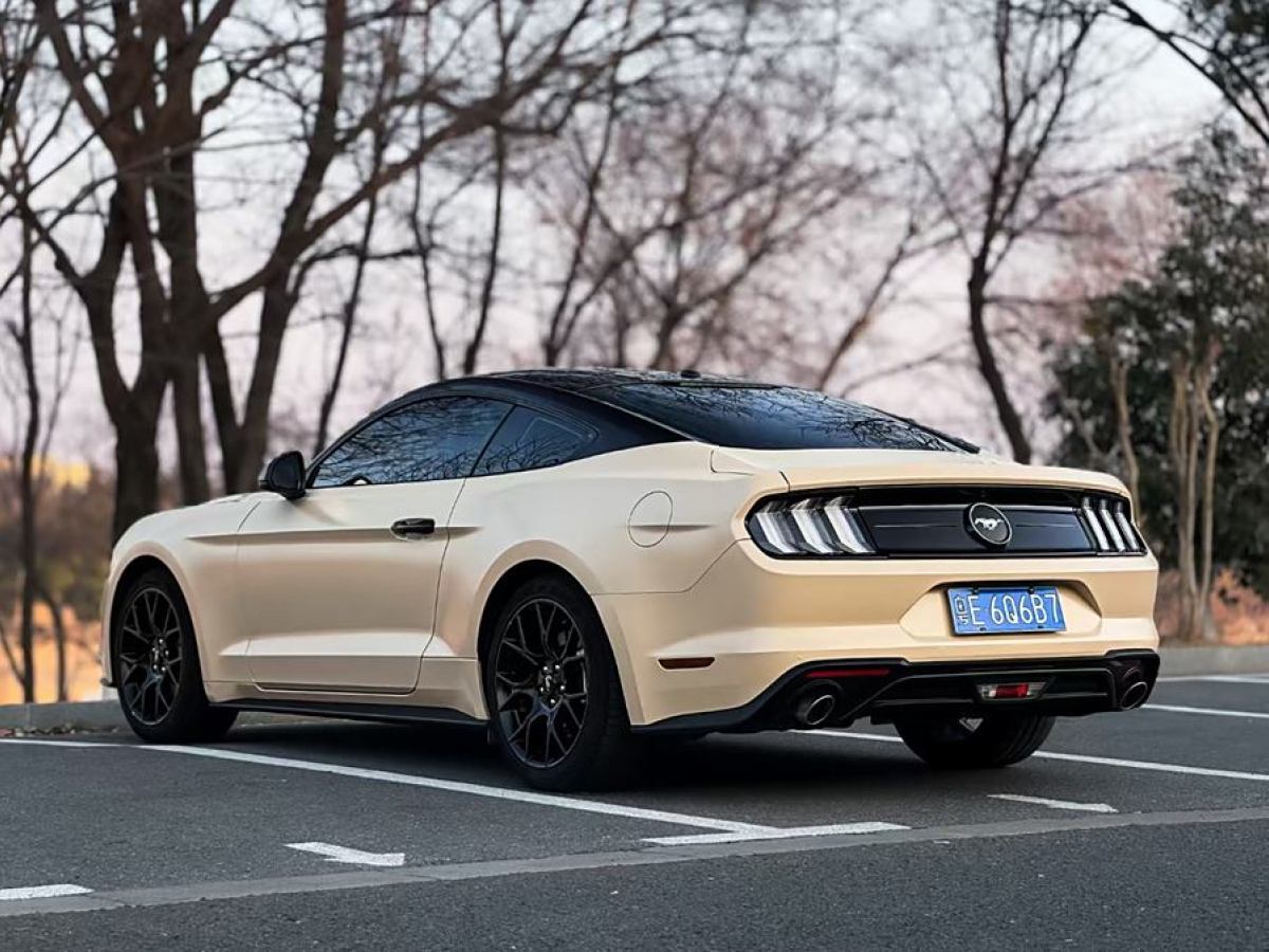 福特 Mustang  2020款 2.3L EcoBoost圖片