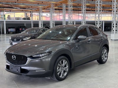 2021年1月 馬自達(dá) CX-30 2.0L 自動(dòng)嘉悅型圖片