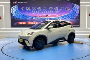 海鷗 比亞迪 305km 活力版