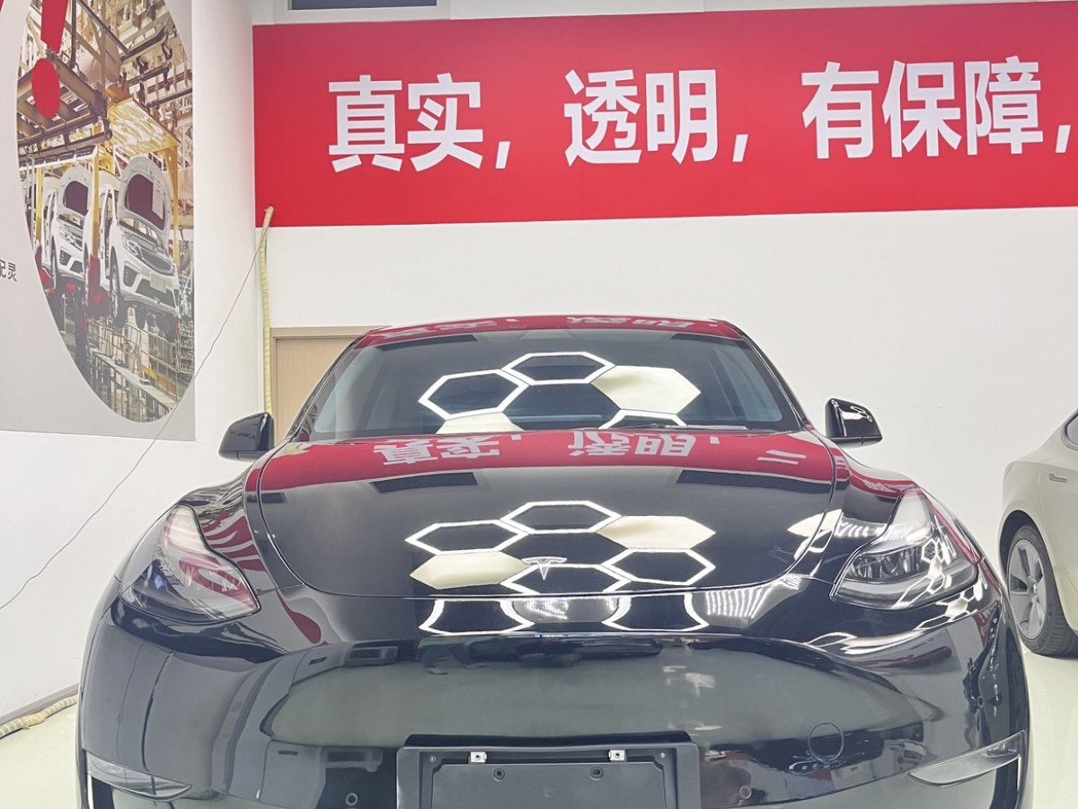 特斯拉 Model Y  2021款 改款 標準續(xù)航后驅(qū)升級版圖片