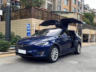 2019年1月 特斯拉 Model X Model X 100D 长续航版图片