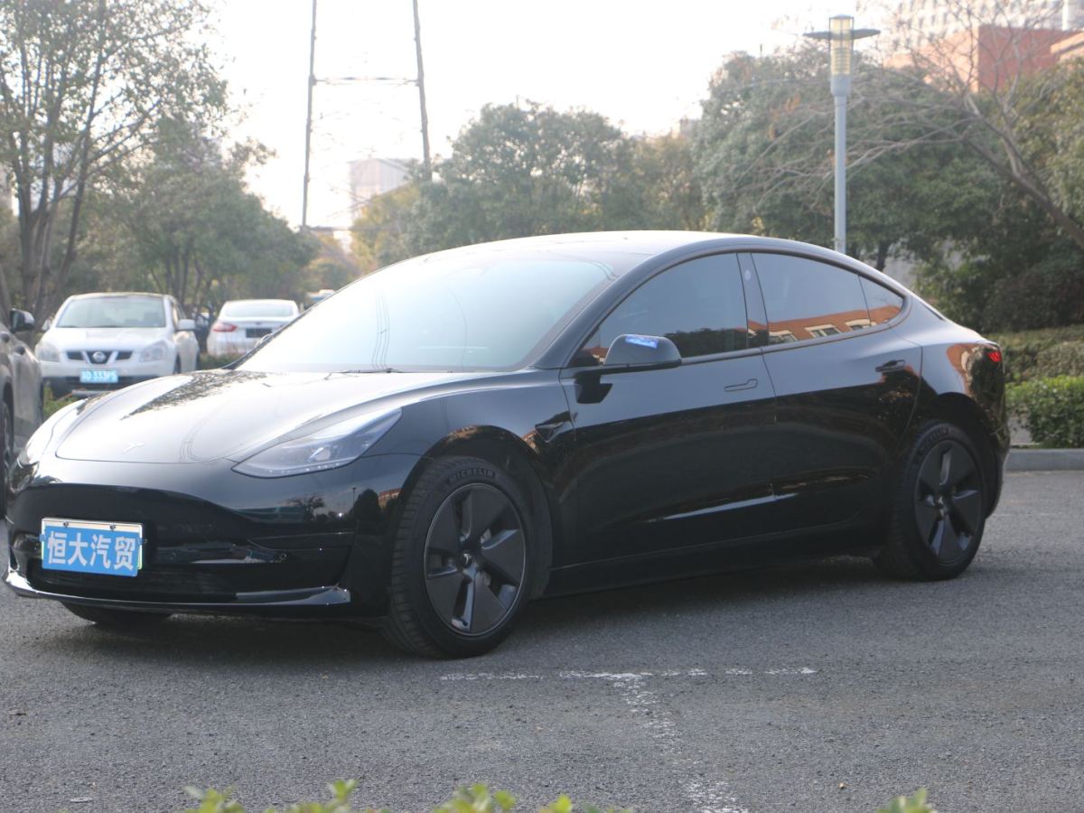 特斯拉 Model 3  2022款 后輪驅(qū)動版圖片