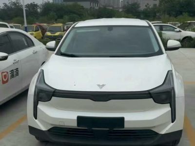 2020年1月 哪吒 N01 380t 行業(yè)定制版圖片