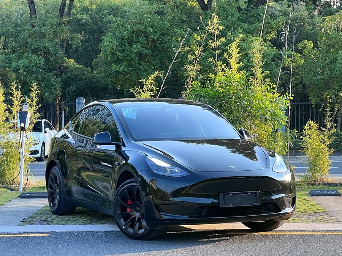 特斯拉 Model Y  2022款 后輪驅(qū)動(dòng)版圖片