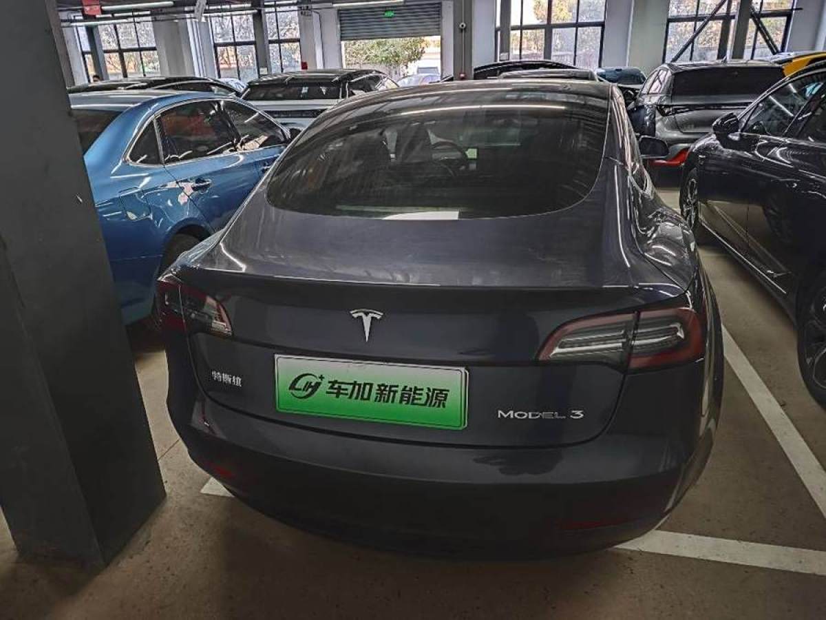 特斯拉 Model 3  2020款 改款 標準續(xù)航后驅(qū)升級版圖片