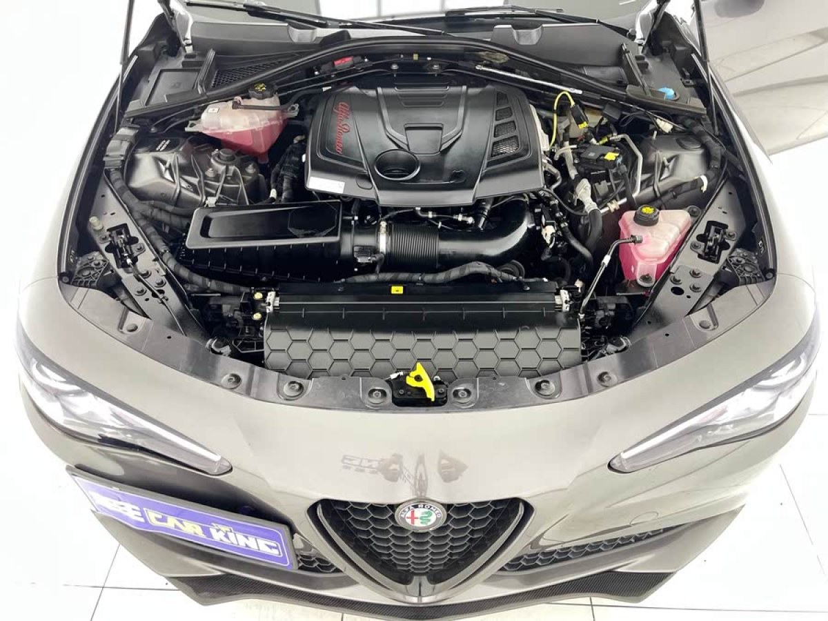 阿爾法·羅密歐 Giulia  2019款  2.0T 280HP 豪華版圖片