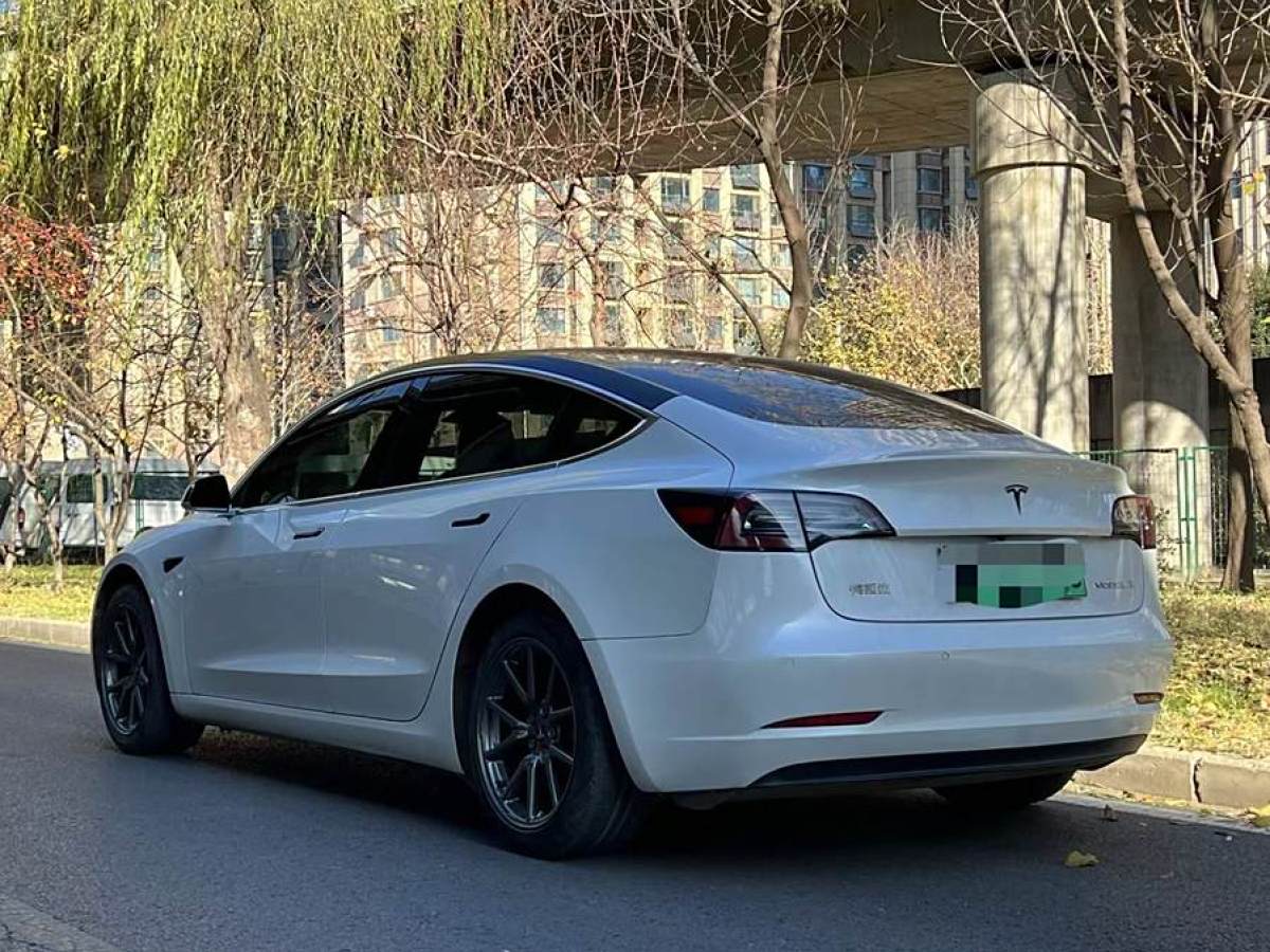 特斯拉 Model 3  2019款 標(biāo)準(zhǔn)續(xù)航后驅(qū)升級(jí)版圖片