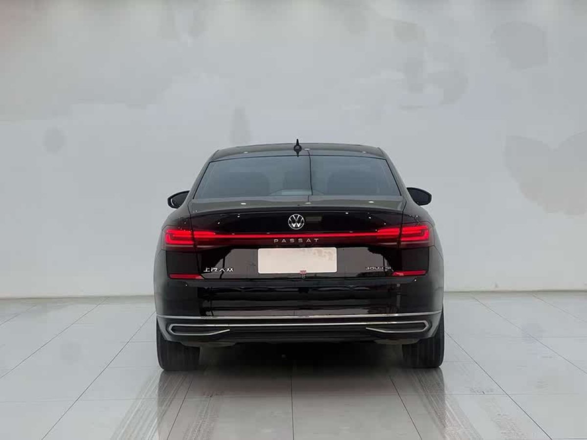 大眾 帕薩特  2024款 380TSI 龍耀版圖片