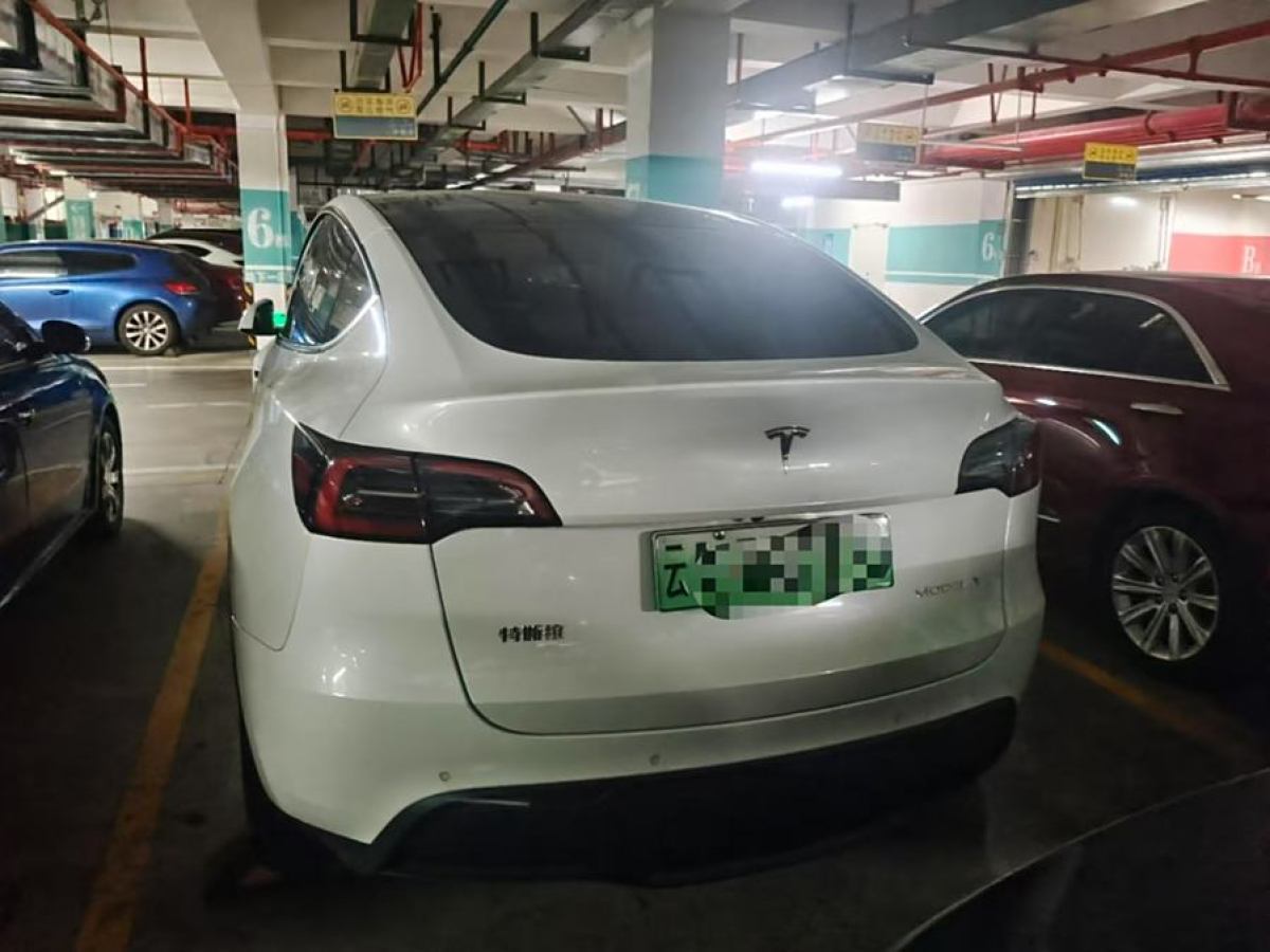 特斯拉 Model 3  2021款 改款 標(biāo)準(zhǔn)續(xù)航后驅(qū)升級(jí)版圖片