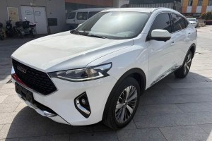 哈弗F7x 哈弗  2.0T 兩驅(qū)極智潮玩版