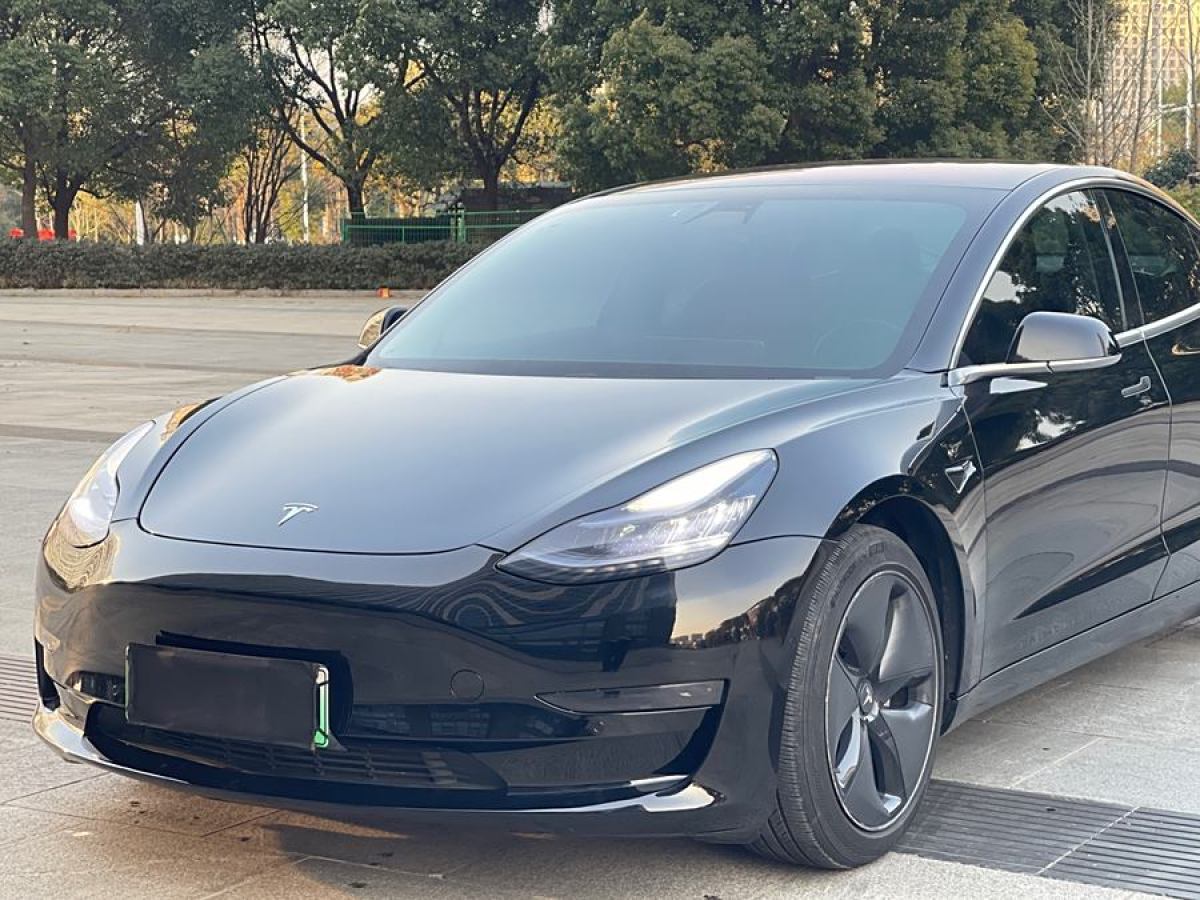 特斯拉 Model 3  2019款 長(zhǎng)續(xù)航后驅(qū)版圖片