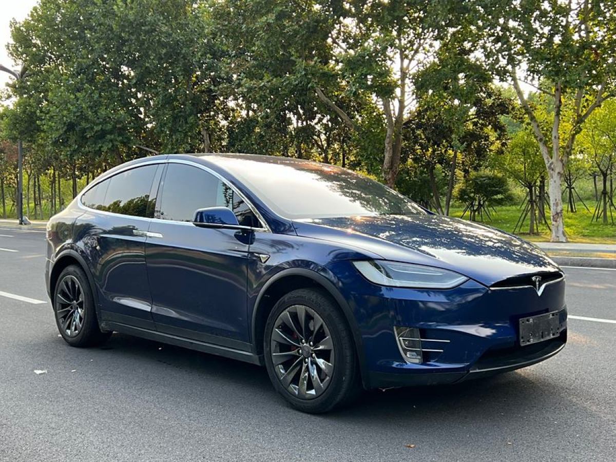 特斯拉 Model X  2017款 Model X 100D 长续航版图片