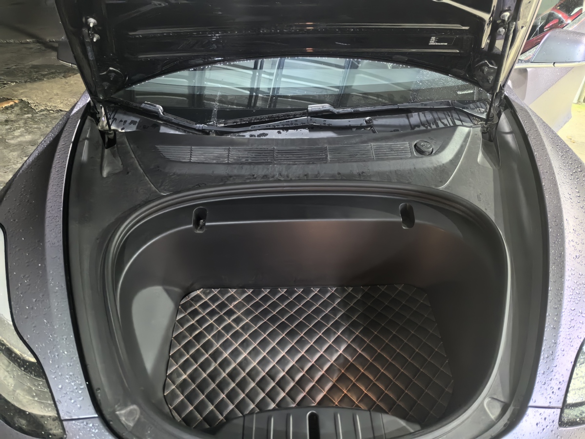 特斯拉 Model 3  2019款 标准续航后驱升级版图片