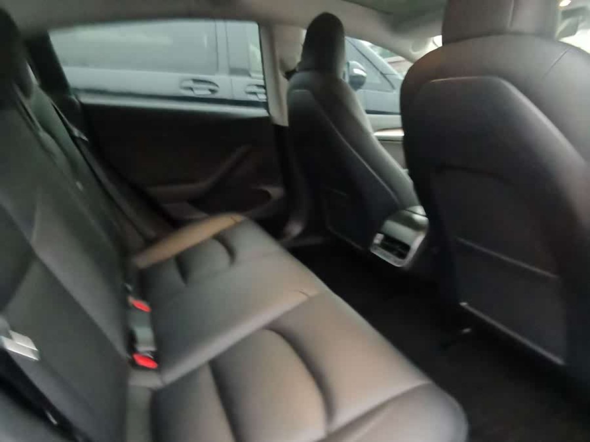 特斯拉 Model 3  2023款 煥新版 后輪驅(qū)動(dòng)圖片
