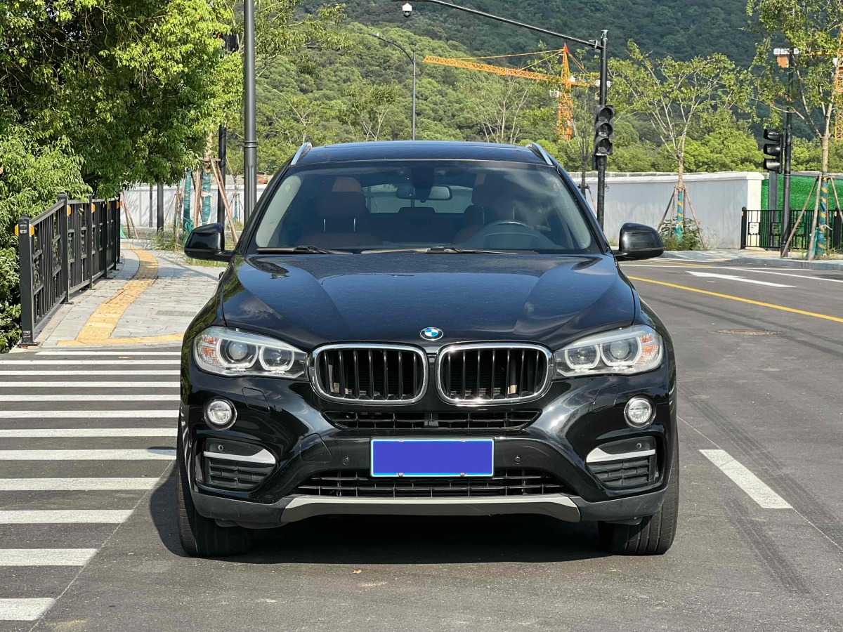 寶馬 寶馬X6  2015款 xDrive35i 豪華型圖片