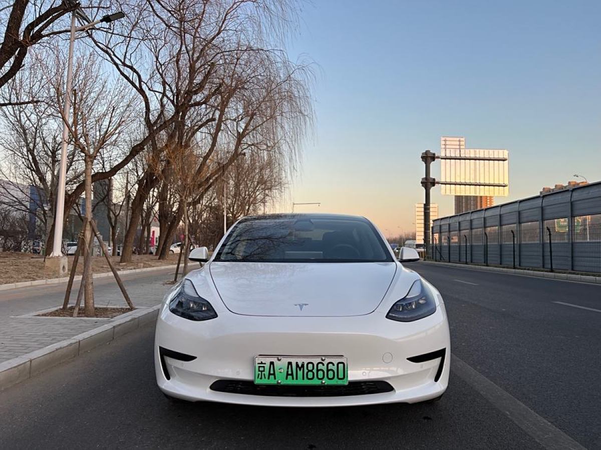 特斯拉 Model 3  2021款 改款 標(biāo)準(zhǔn)續(xù)航后驅(qū)升級版圖片