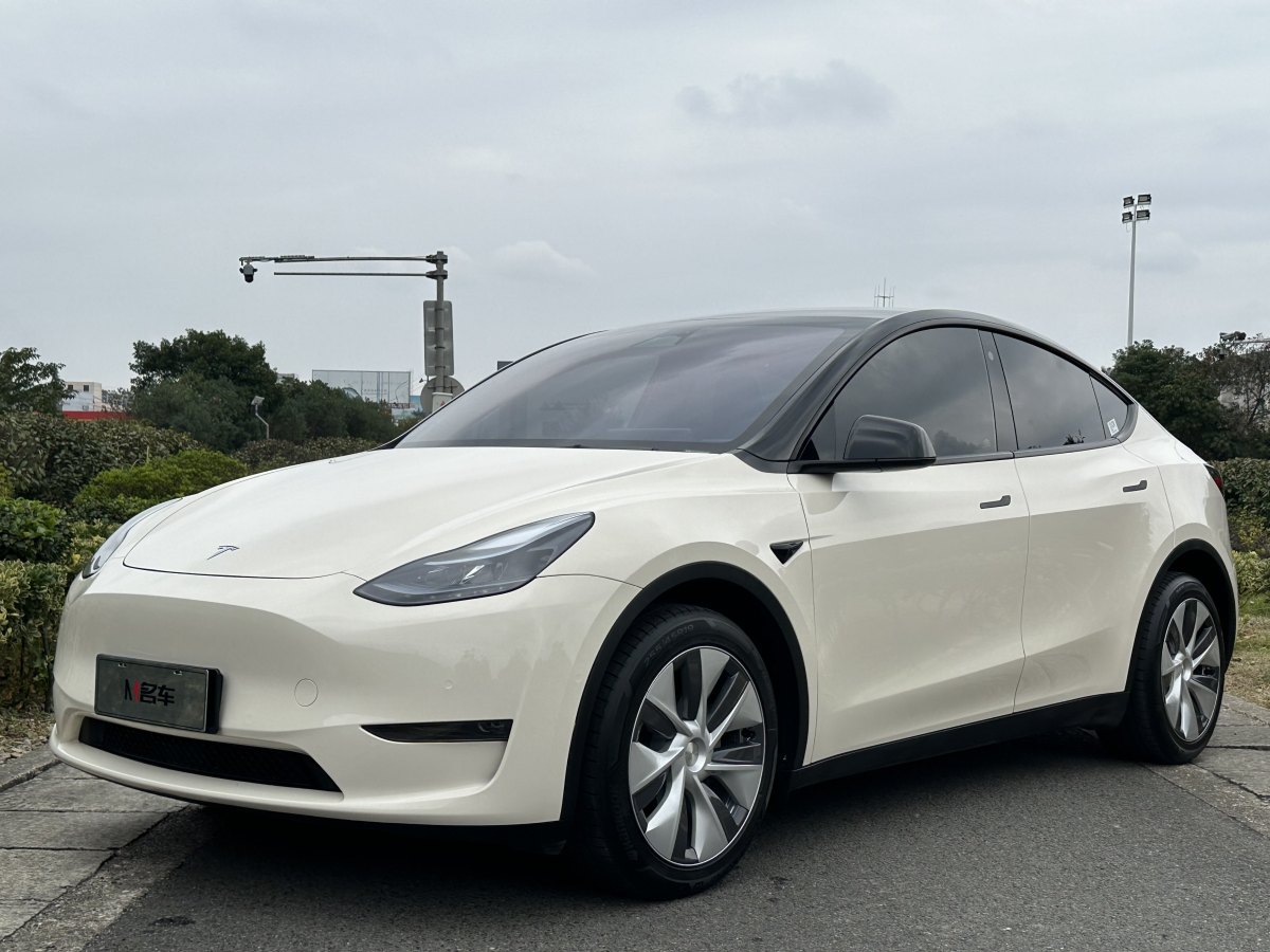 特斯拉 Model 3  2021款 改款 Performance高性能全輪驅(qū)動版圖片