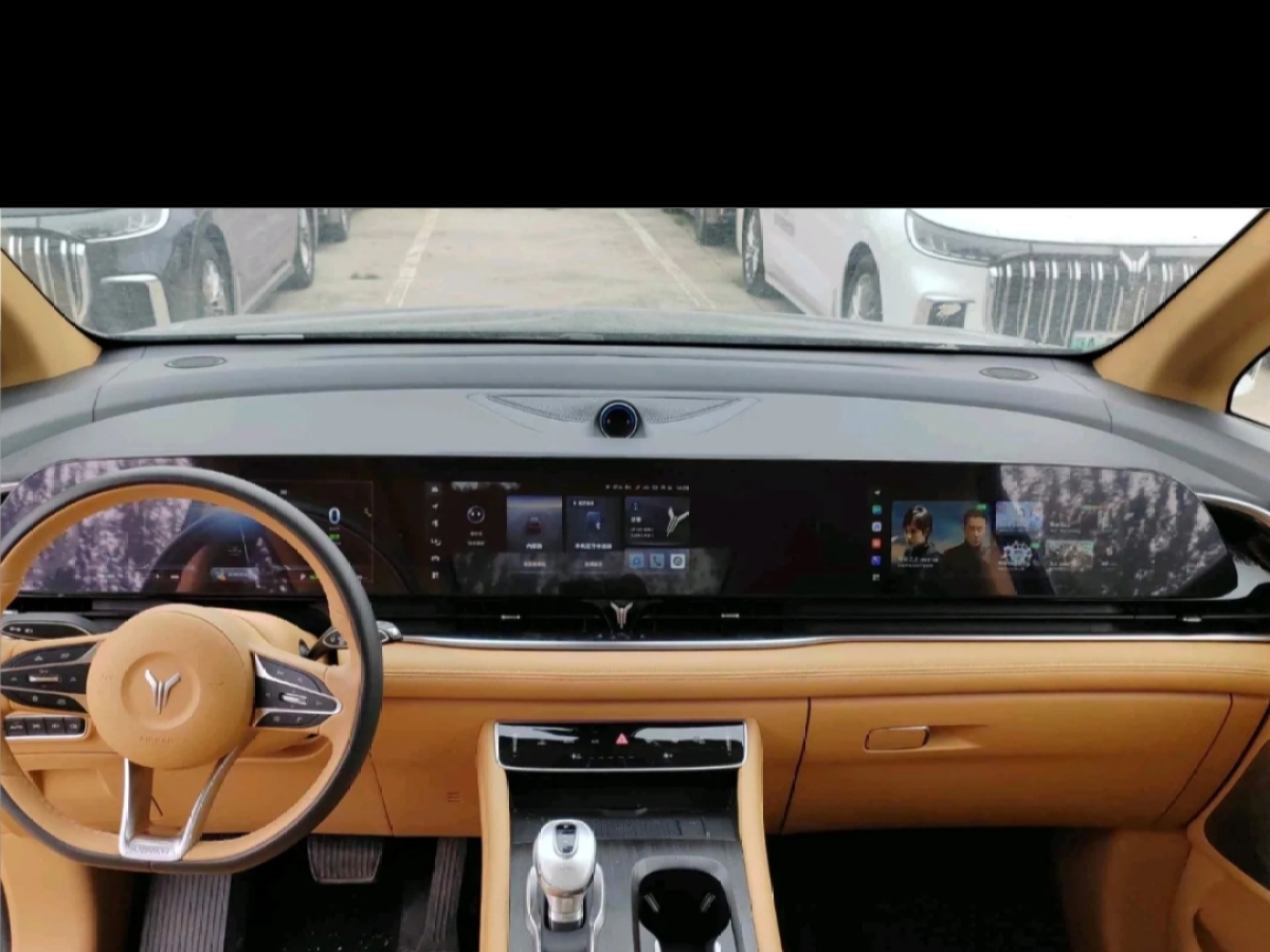 嵐圖 夢想家  2024款 PHEV 超長續(xù)航尊貴版圖片