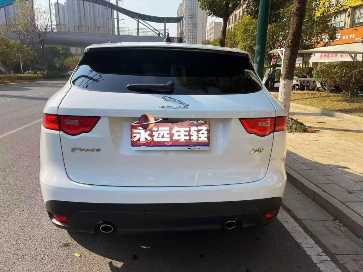 捷豹 F-PACE  2021款 250PS圖片