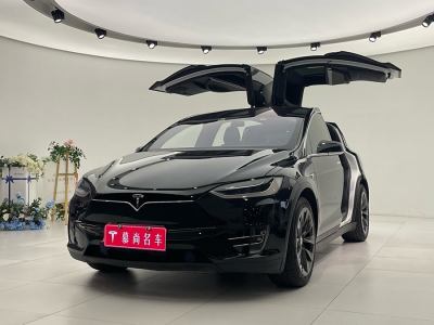 2018年2月 特斯拉 Model X Model X 100D 長(zhǎng)續(xù)航版圖片